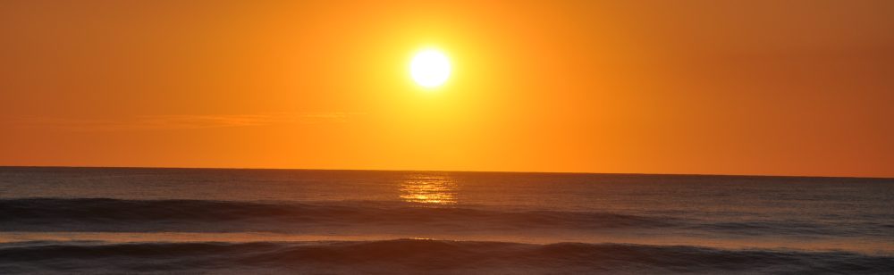 Language Education – Español